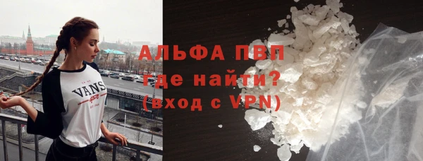 прущие грибы Иннополис
