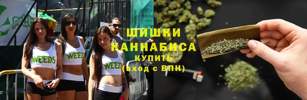 прущие грибы Иннополис