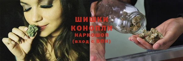 прущие грибы Иннополис