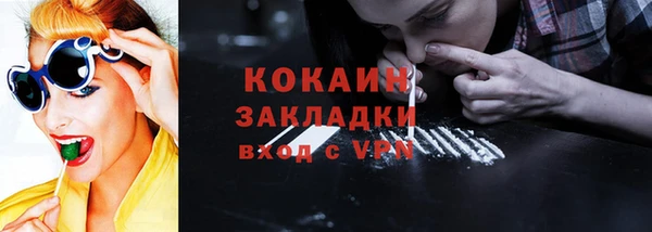 прущие грибы Иннополис