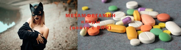 прущие грибы Иннополис