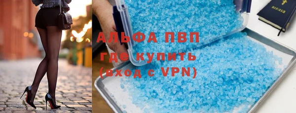 прущие грибы Иннополис
