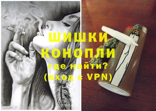 прущие грибы Иннополис